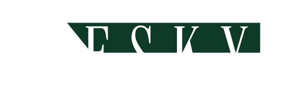 Podnikám česky
